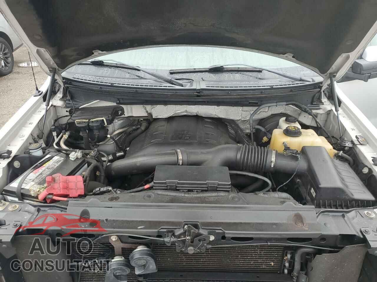 FORD F-150 2012 - 1FTFW1CT2CFB80944