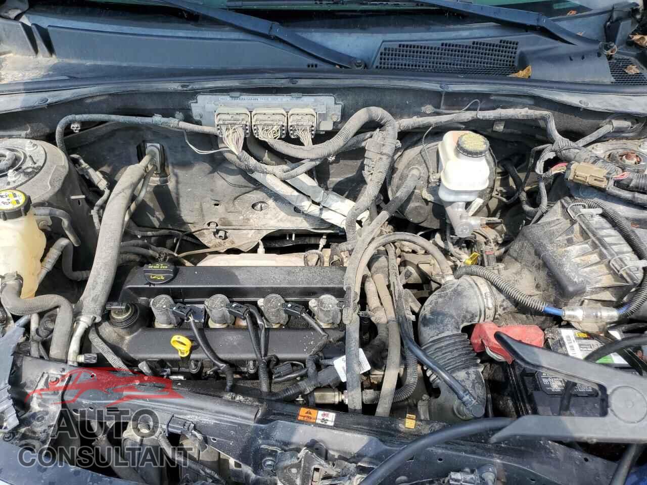 FORD ESCAPE 2010 - 1FMCU9D71AKB03409