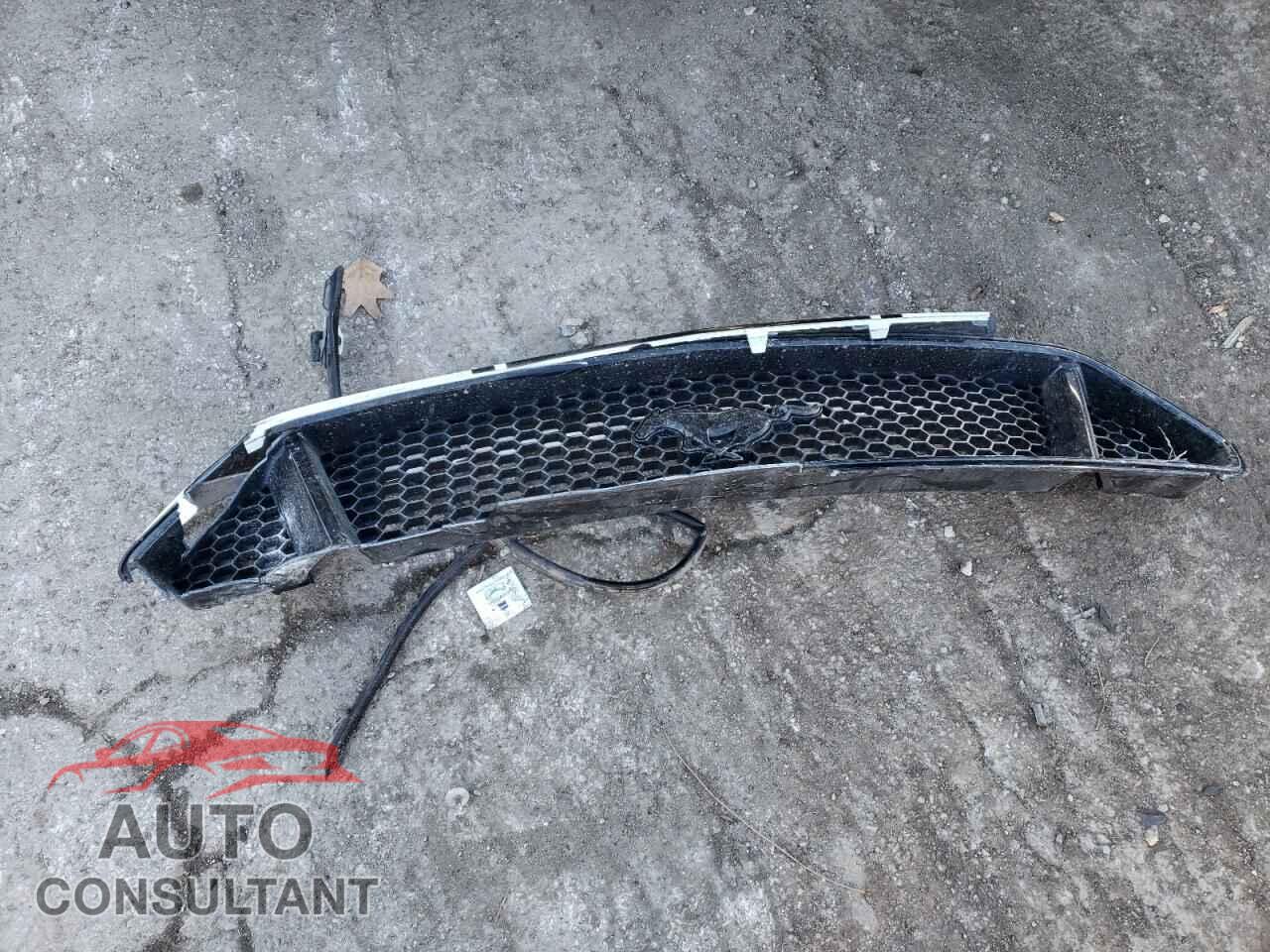 FORD MUSTANG 2019 - 1FA6P8CF3K5115062