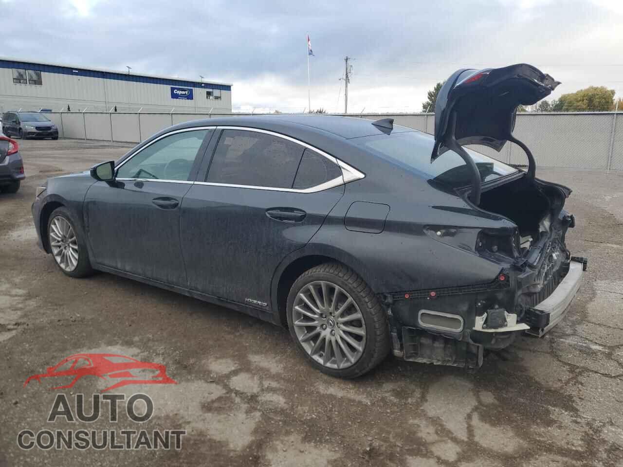 LEXUS ES300 2019 - JTHB21B1XK2006277