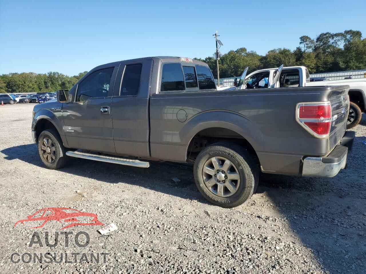 FORD F-150 2013 - 1FTFX1CT7DFA10089