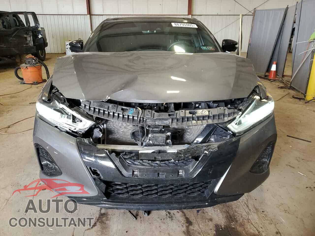 NISSAN MAXIMA 2021 - 1N4AA6EV1MC516239