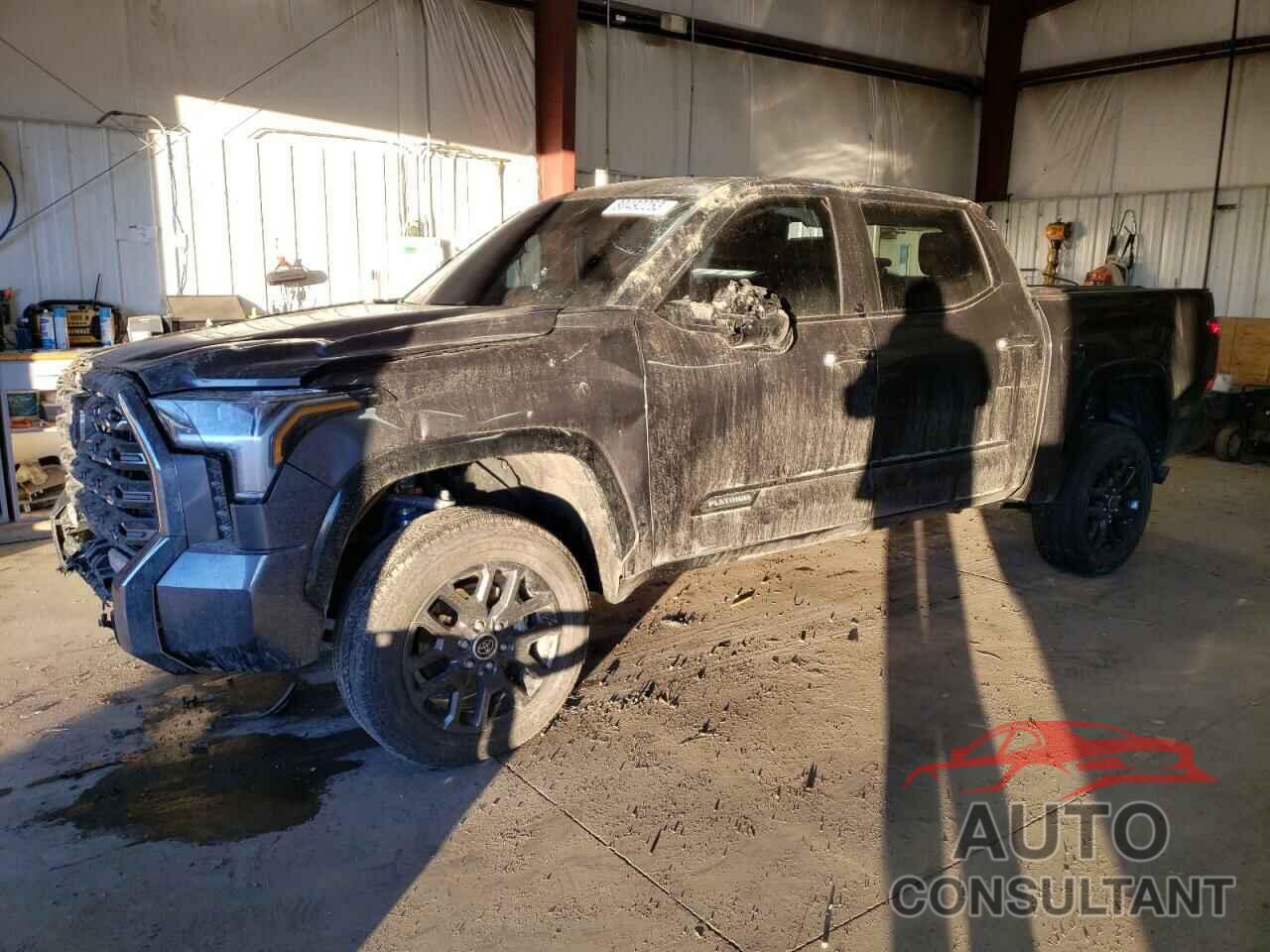 TOYOTA TUNDRA 2023 - 5TFNA5DB8PX123641