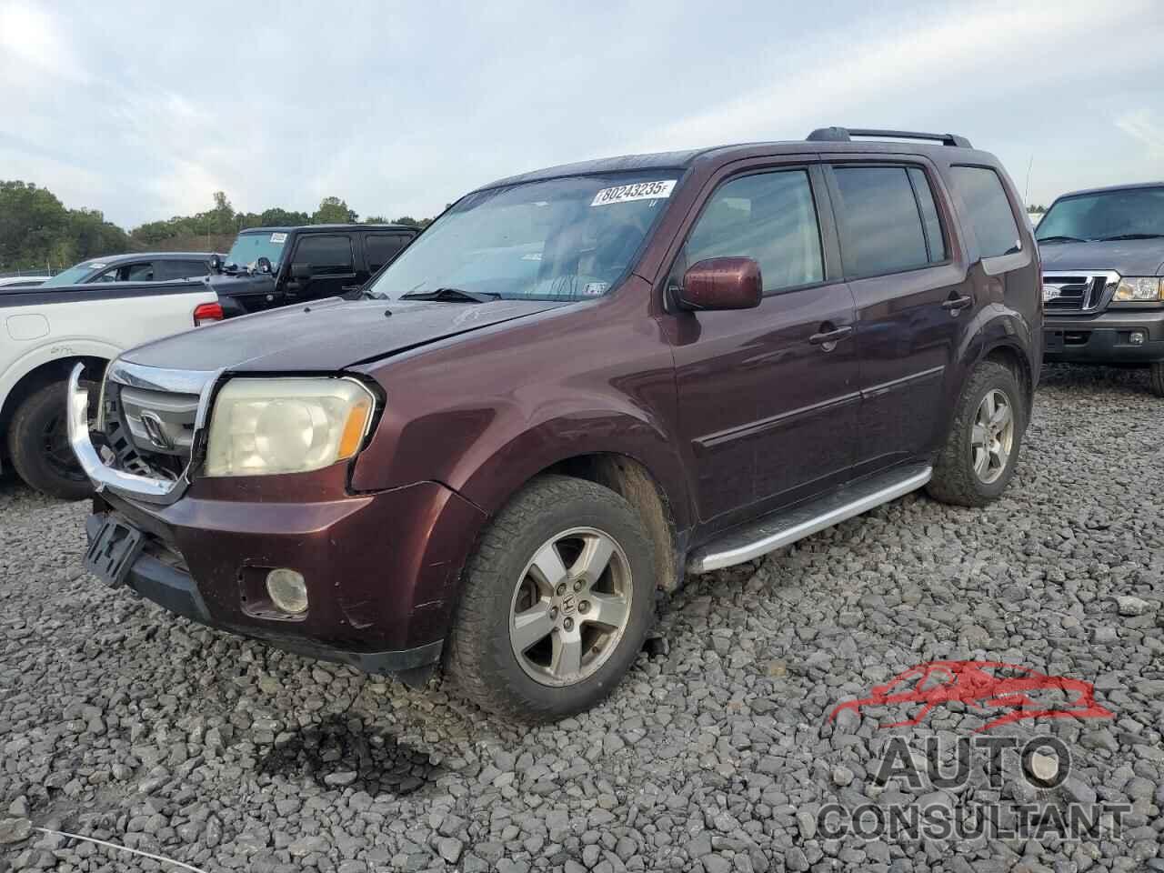 HONDA PILOT 2010 - 5FNYF4H55AB037573