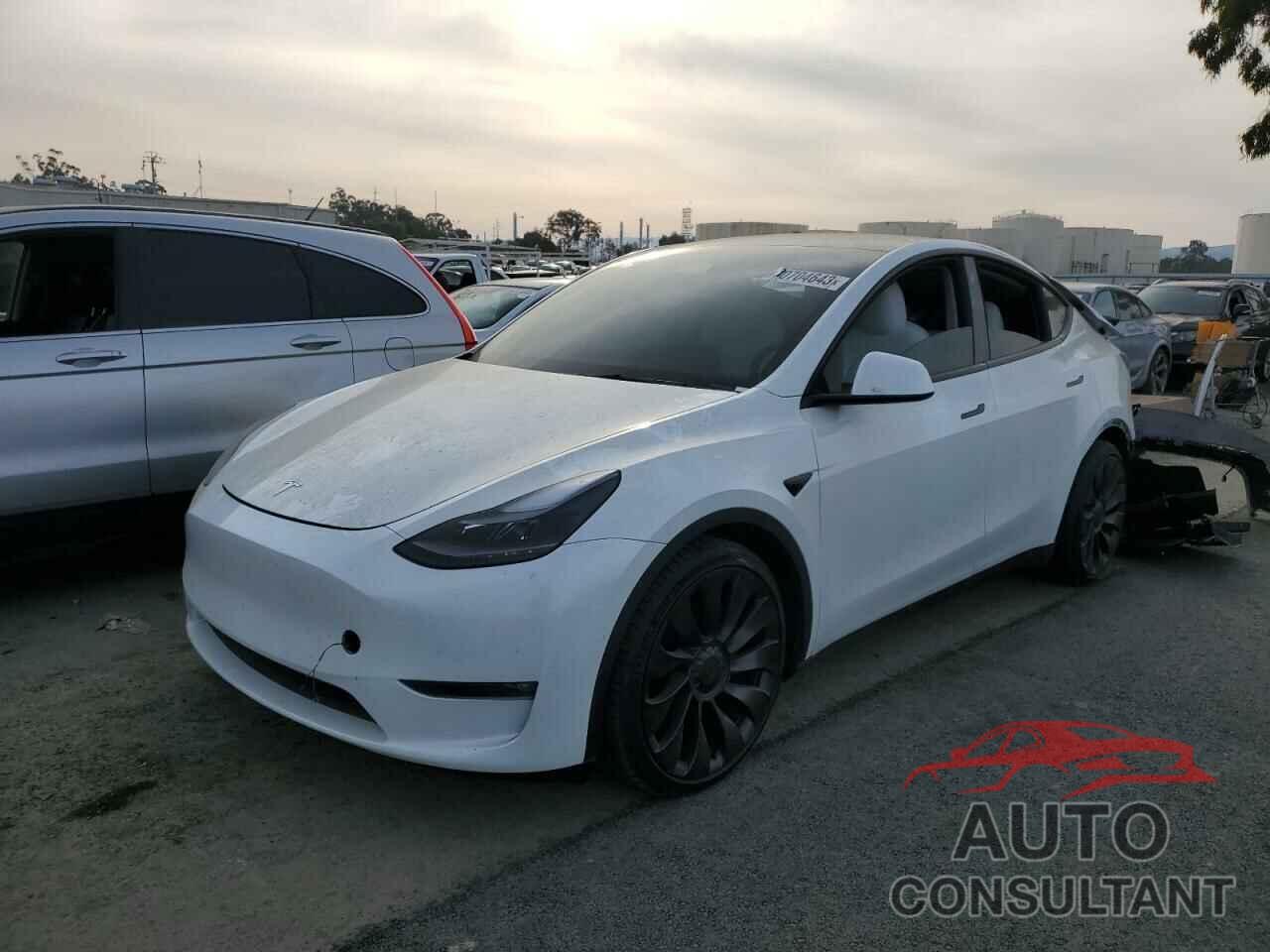 TESLA MODEL Y 2022 - 7SAYGDEF0NF490051