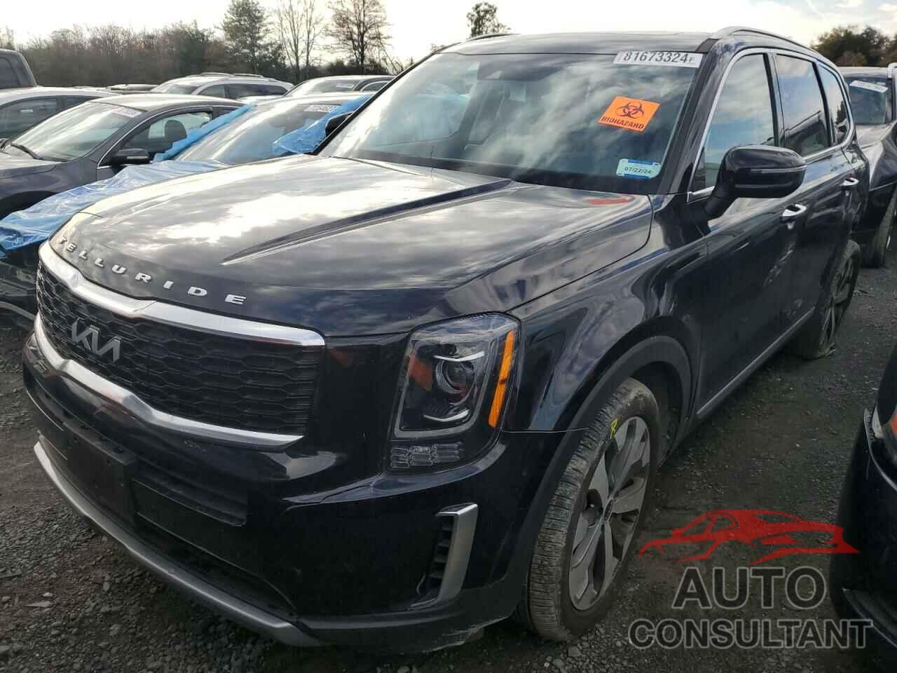 KIA TELLURIDE 2022 - 5XYP6DHC4NG272605