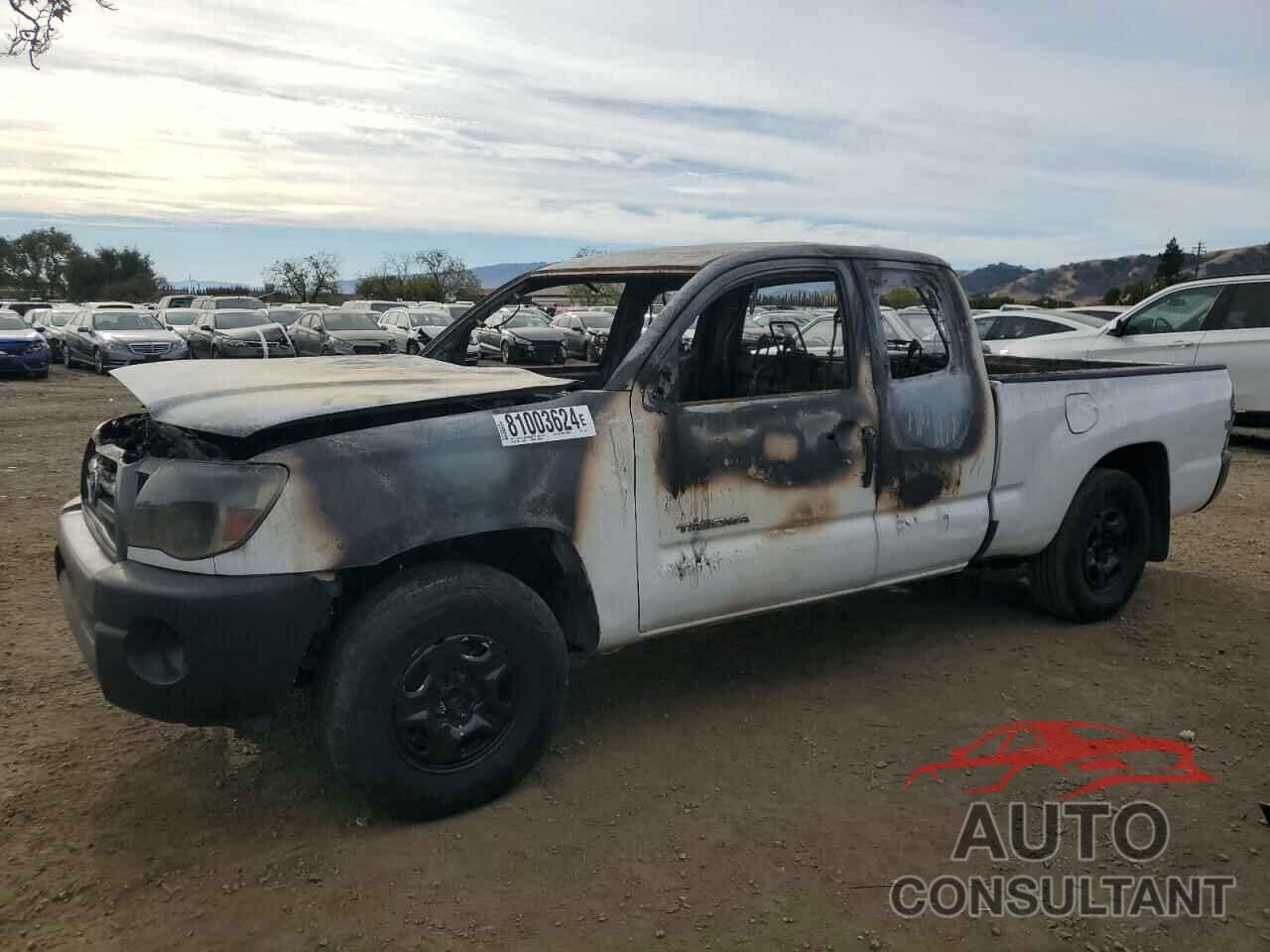 TOYOTA TACOMA 2010 - 5TETX4CN6AZ677448