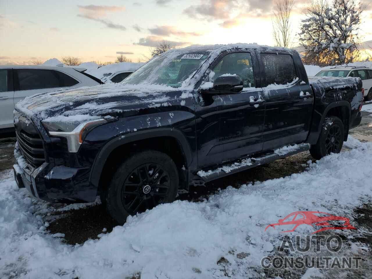 TOYOTA TUNDRA 2024 - 5TFWA5DB3RX151533