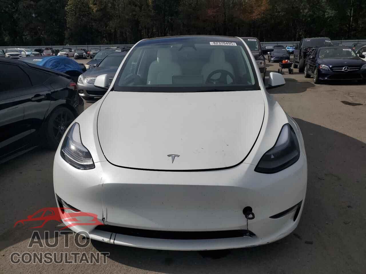 TESLA MODEL Y 2024 - 7SAYGAEEXRF981884