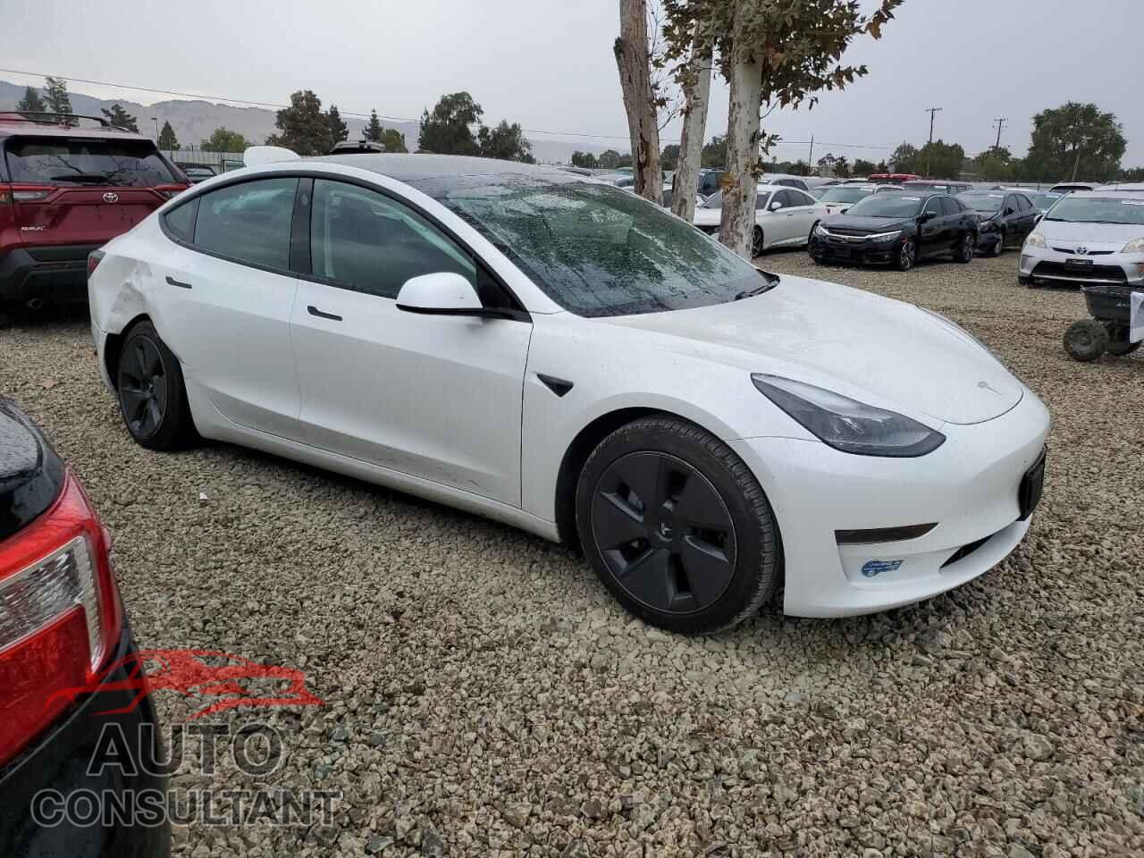 TESLA MODEL 3 2021 - 5YJ3E1EA0MF013635
