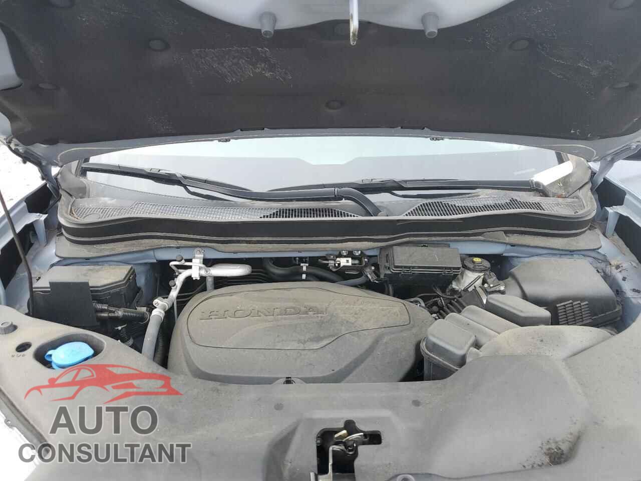 HONDA RIDGELINE 2022 - 5FPYK3F85NB020367