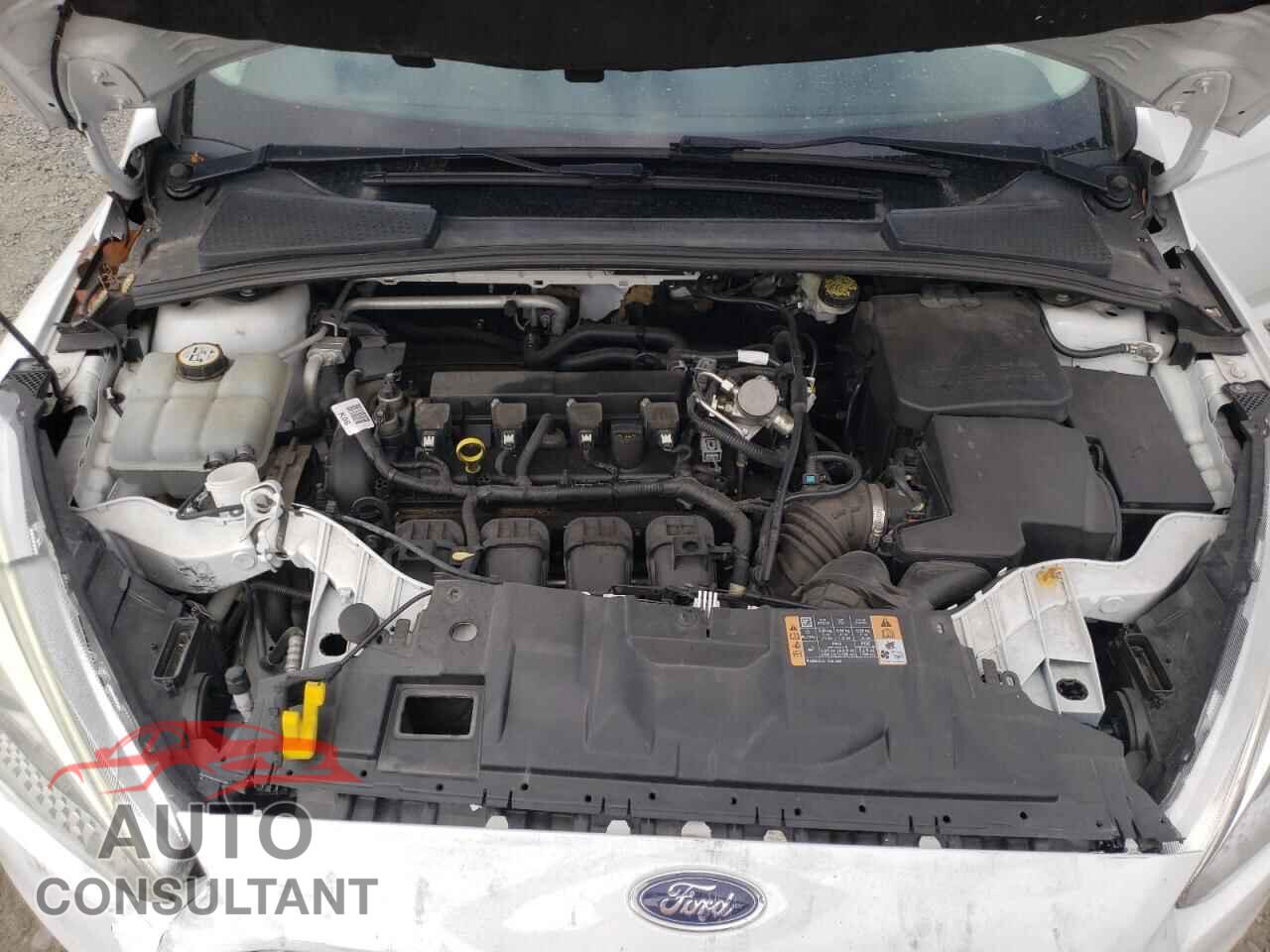 FORD FOCUS 2016 - 1FADP3F24GL347885