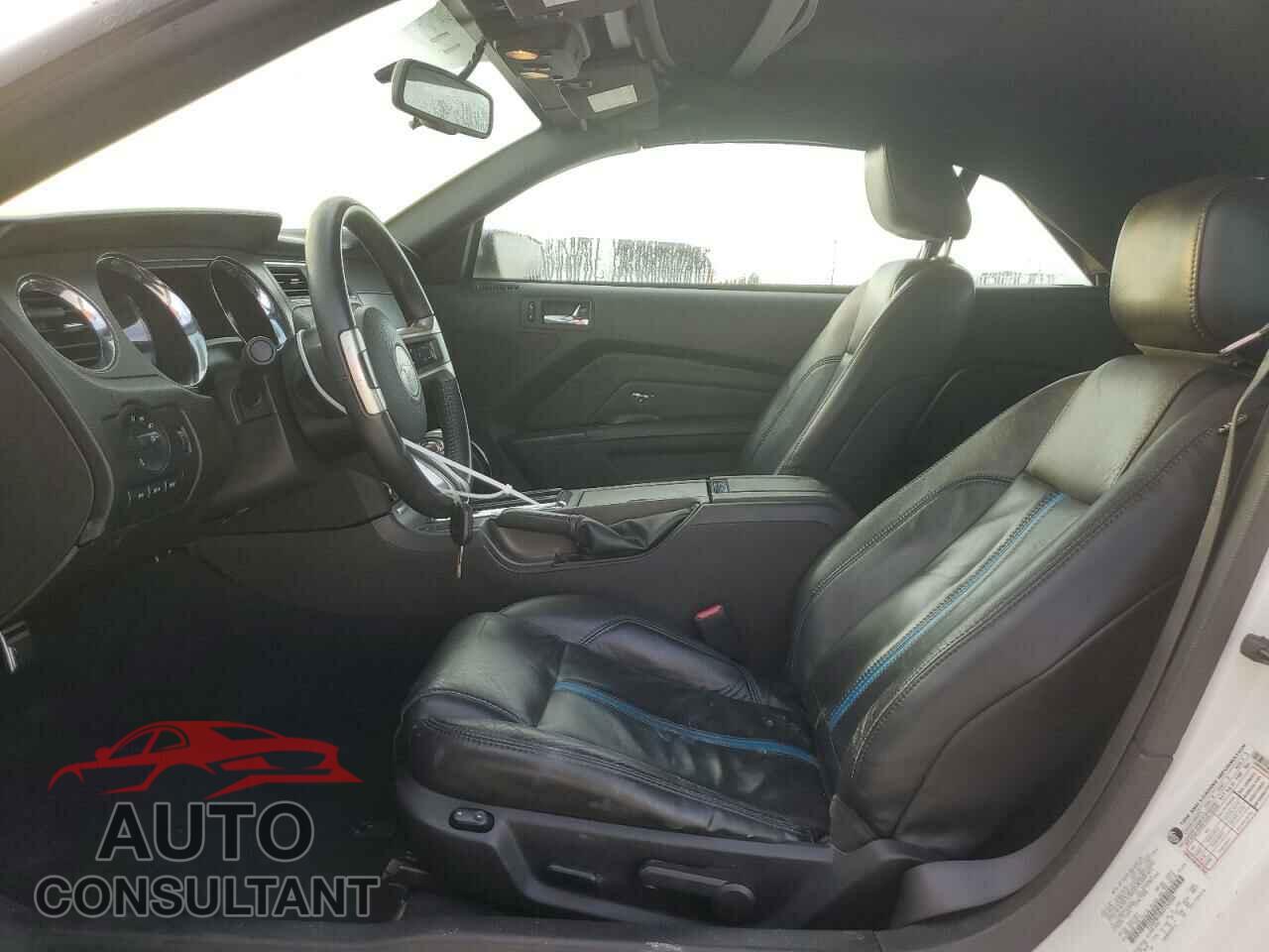 FORD MUSTANG 2010 - 1ZVBP8FH8A5152500