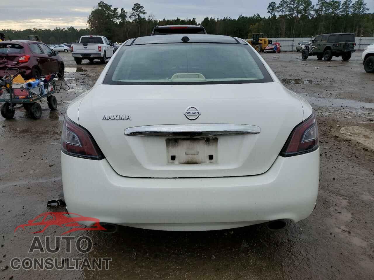 NISSAN MAXIMA 2013 - 1N4AA5AP1DC838820