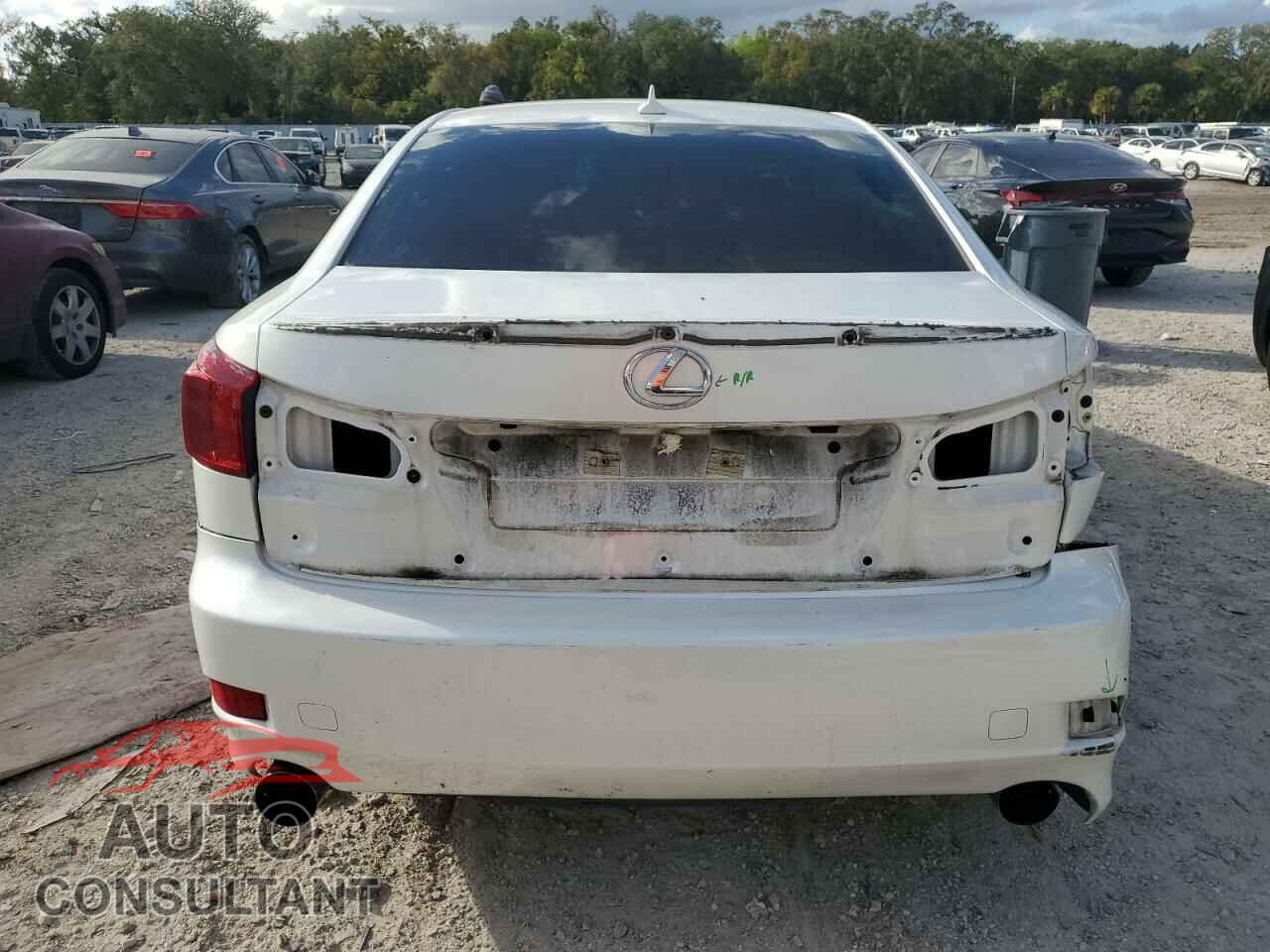 LEXUS IS 2009 - JTHBK262X95096516