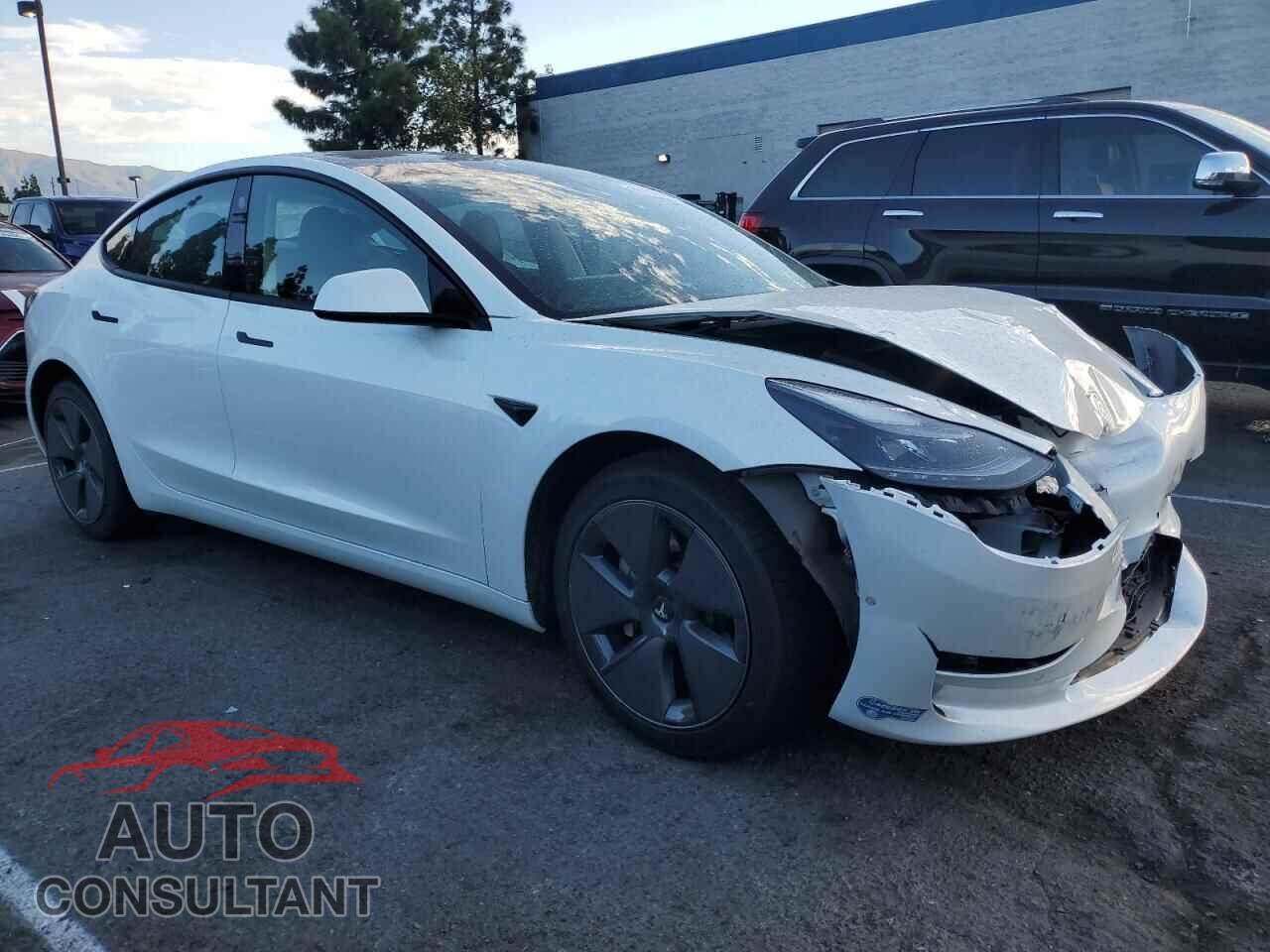 TESLA MODEL 3 2021 - 5YJ3E1EA5MF998174