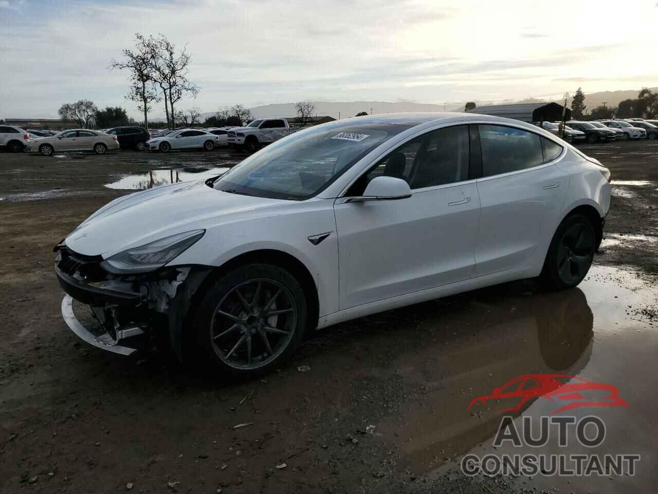 TESLA MODEL 3 2020 - 5YJ3E1EA5LF658991