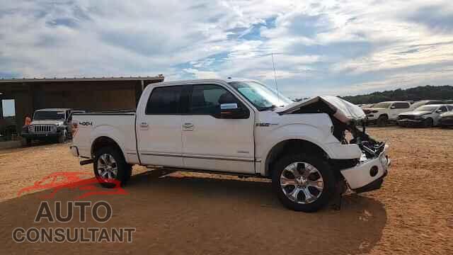 FORD F-150 2013 - 1FTFW1ET3DFD08042