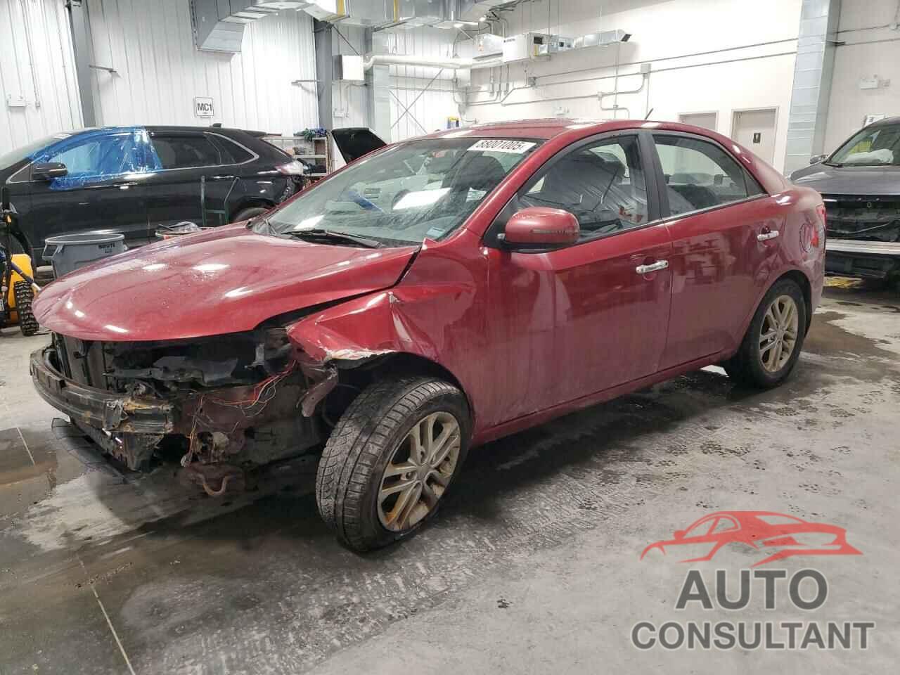 KIA FORTE 2011 - KNAFU4A2XB5431499