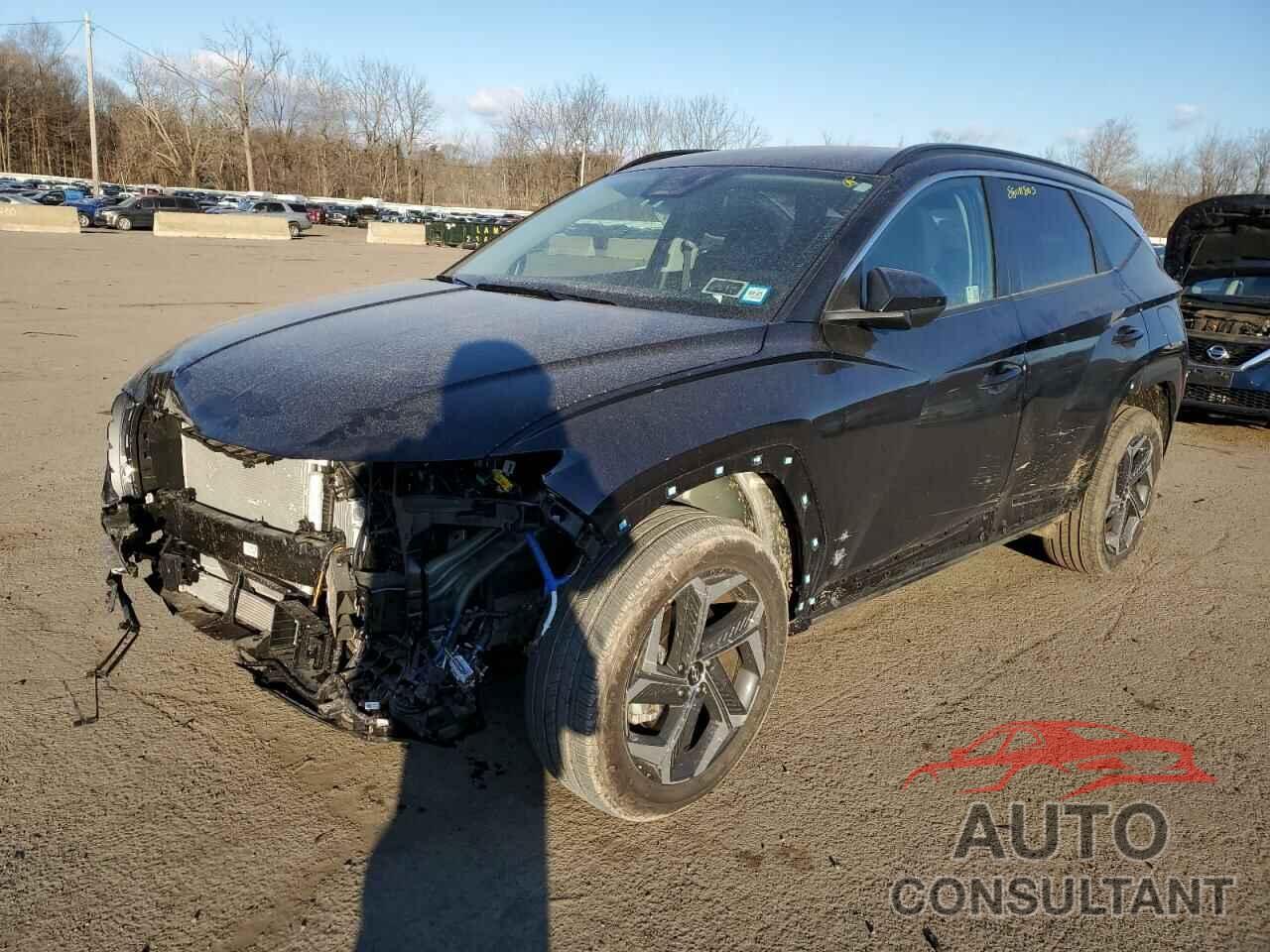 HYUNDAI TUCSON 2024 - KM8JBDD26RU187313