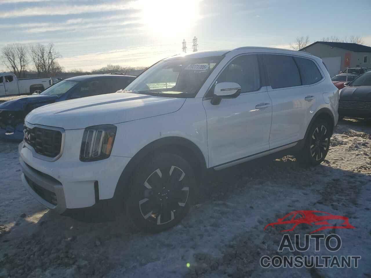 KIA TELLURIDE 2024 - 5XYP5DGC7RG447889