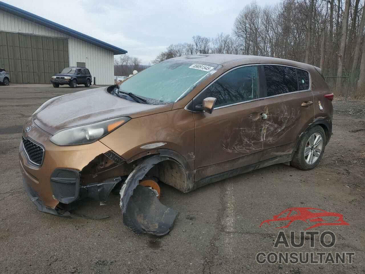KIA SPORTAGE 2017 - KNDPM3AC6H7121955