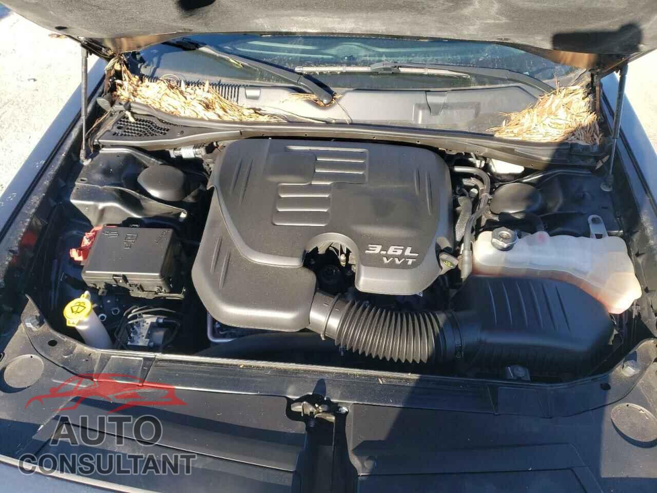DODGE CHALLENGER 2019 - 2C3CDZGG8KH690446
