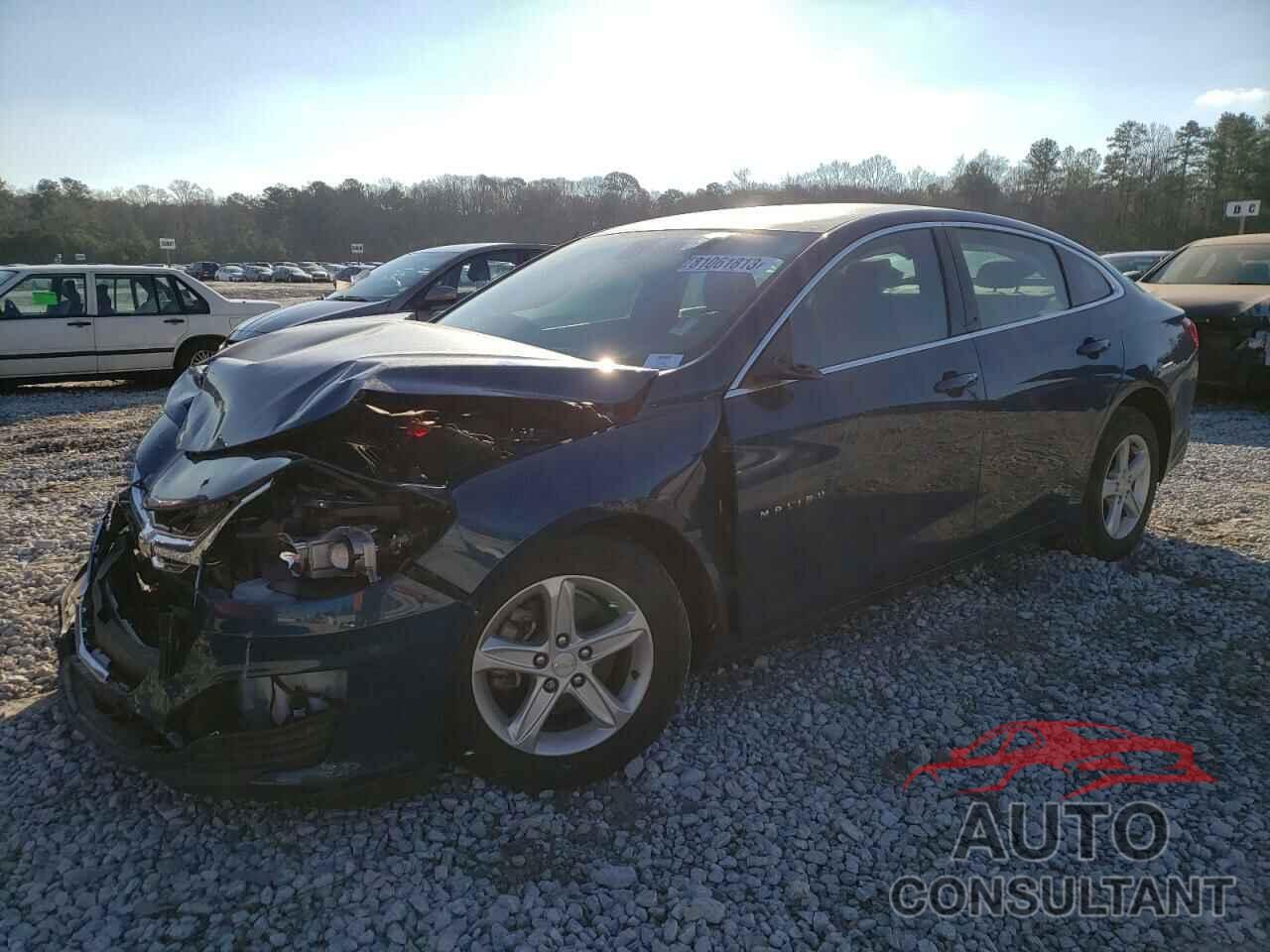 CHEVROLET MALIBU 2019 - 1G1ZB5ST9KF145598