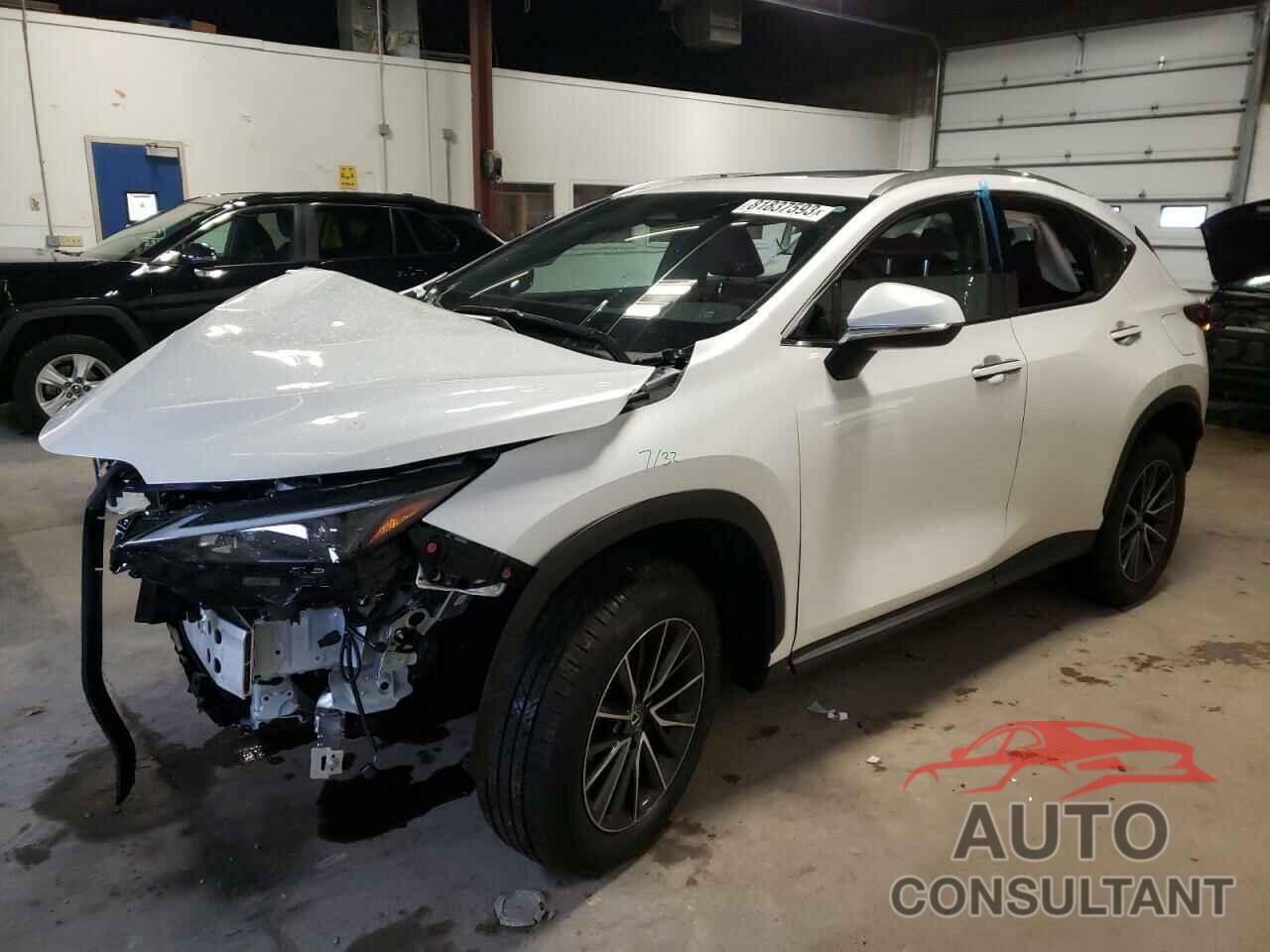 LEXUS NX 350 BAS 2024 - JTJAGCEZ9R5007986