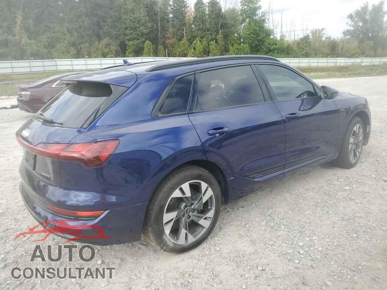 AUDI E-TRON 2021 - WA1AAAGE2MB017640