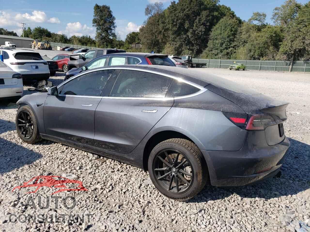 TESLA MODEL 3 2020 - 5YJ3E1EA5LF736699