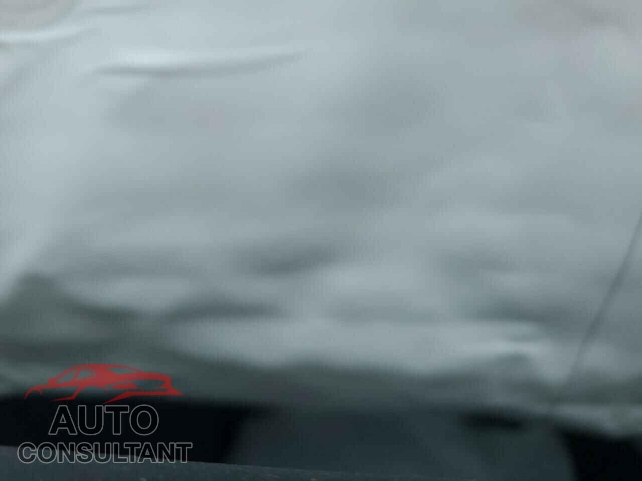 TESLA MODEL 3 2021 - 5YJ3E1EA6MF986955