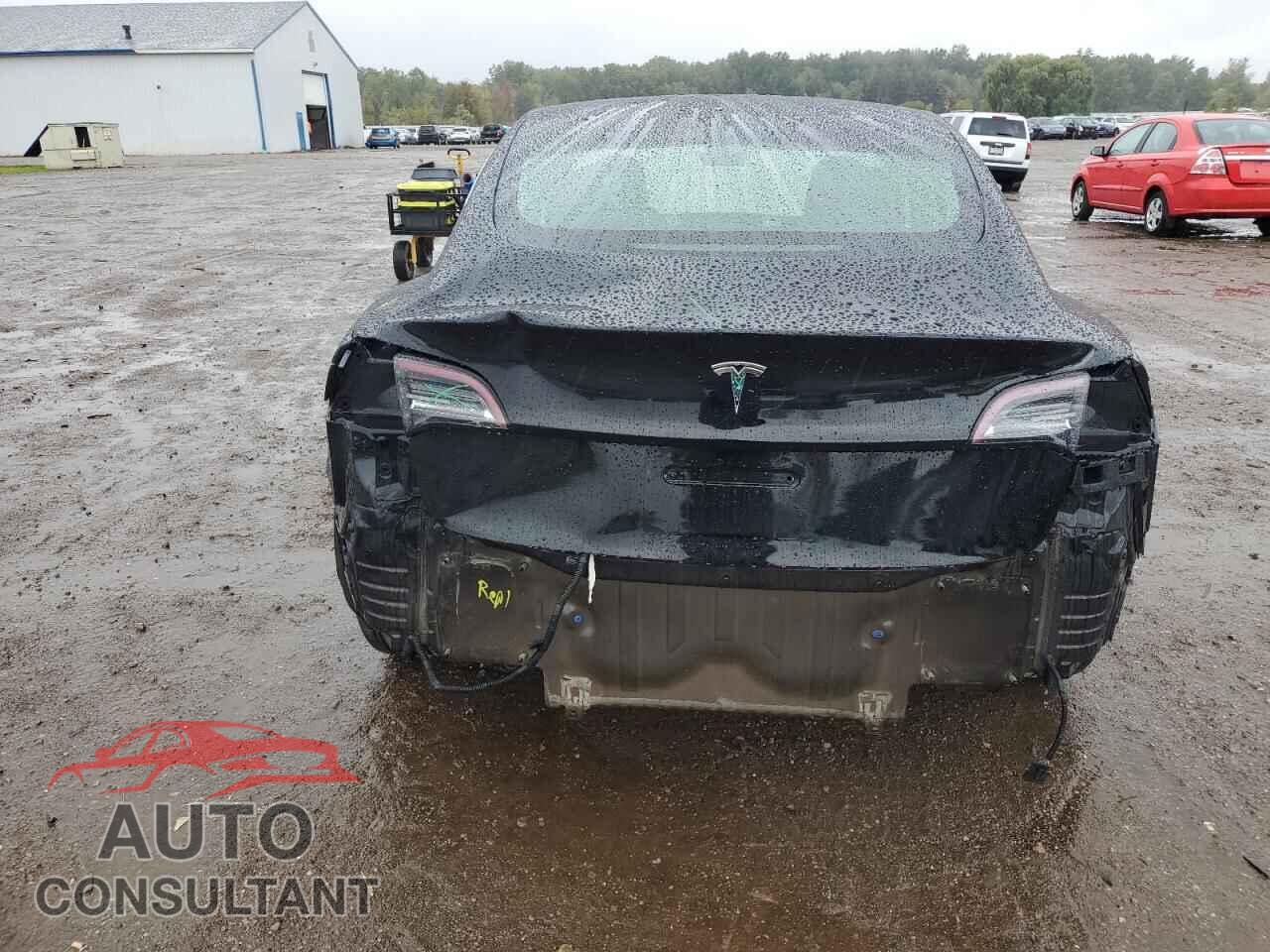 TESLA MODEL 3 2019 - 5YJ3E1EA2KF398502