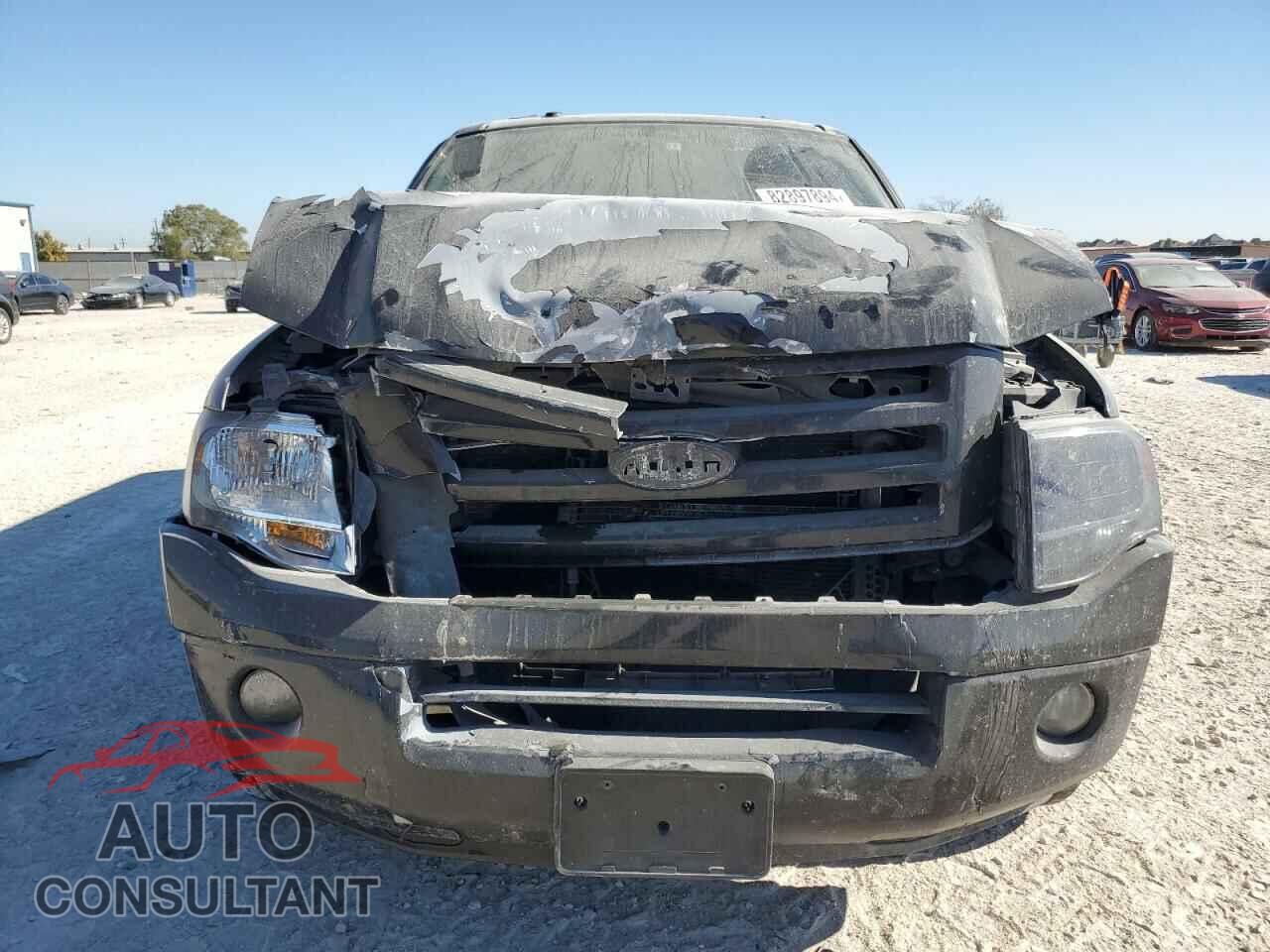 FORD EXPEDITION 2009 - 1FMFK19599EB16012