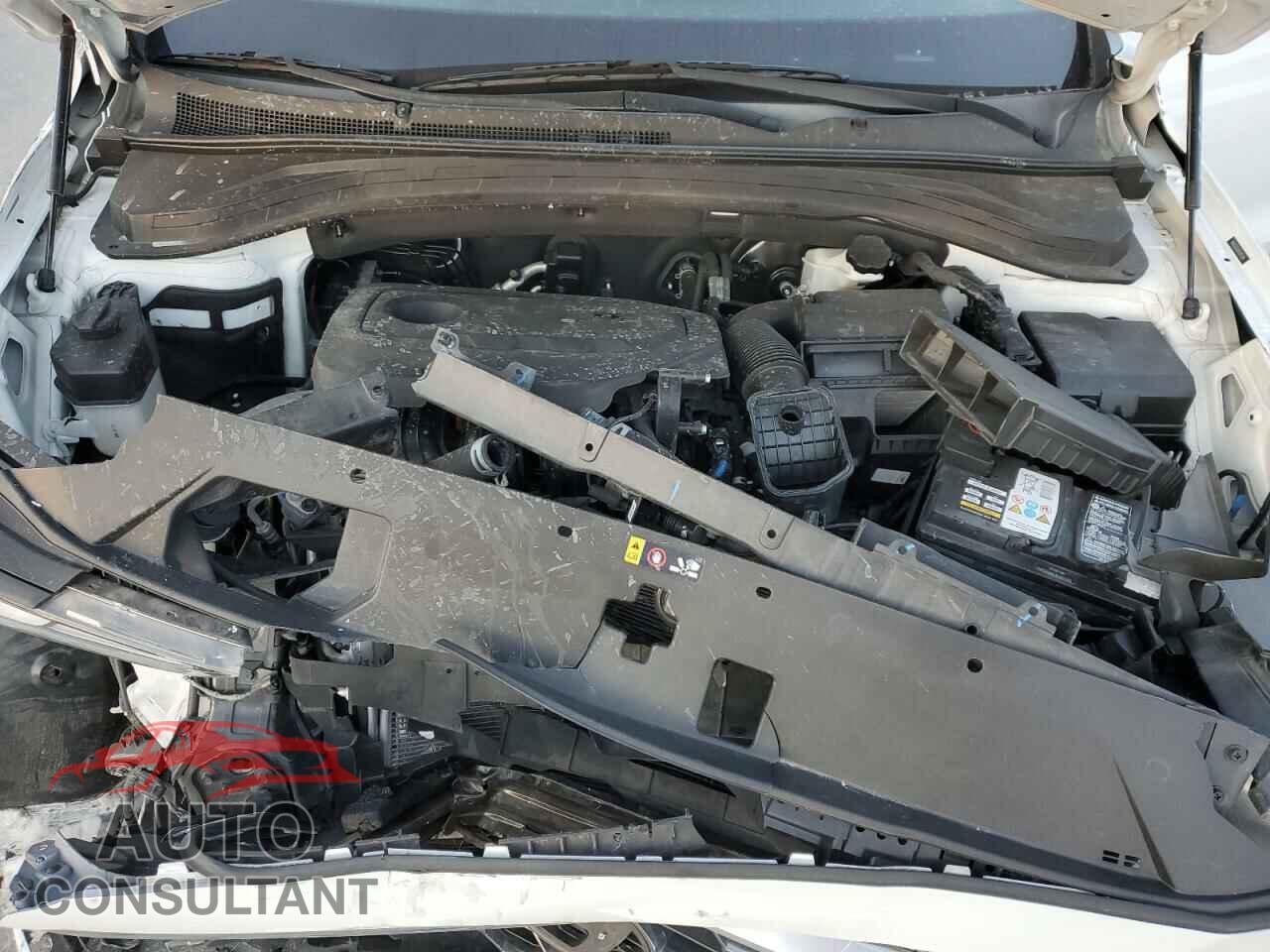HYUNDAI SANTA FE 2019 - 5NMS33AD3KH095384