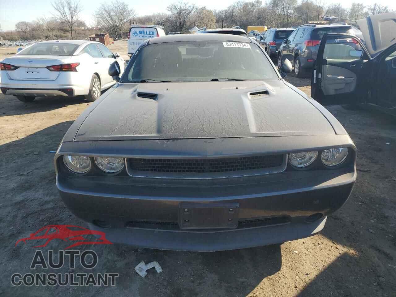 DODGE CHALLENGER 2013 - 2C3CDYAG4DH646076