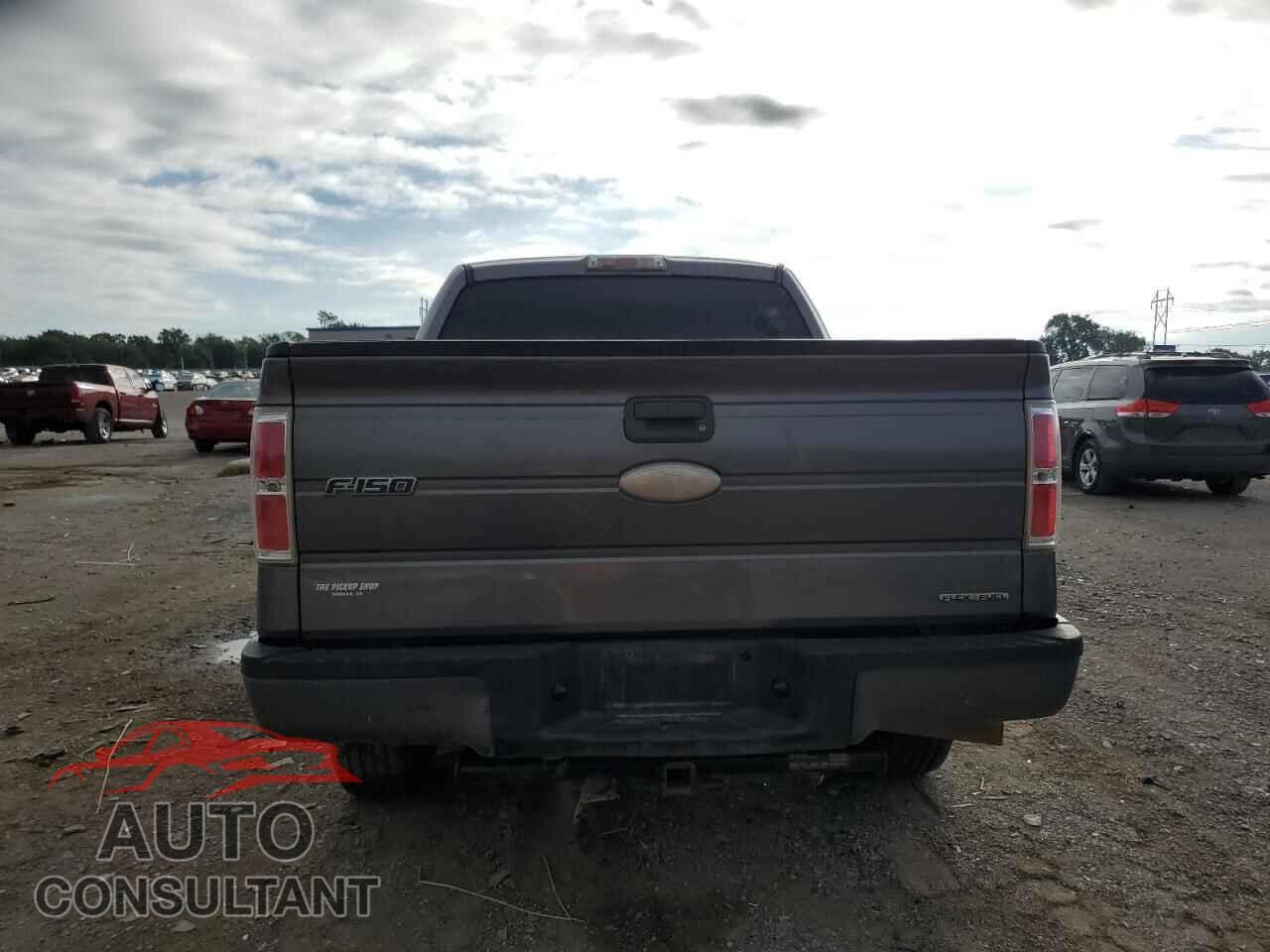 FORD F-150 2011 - 1FTEW1CM2BFB58428
