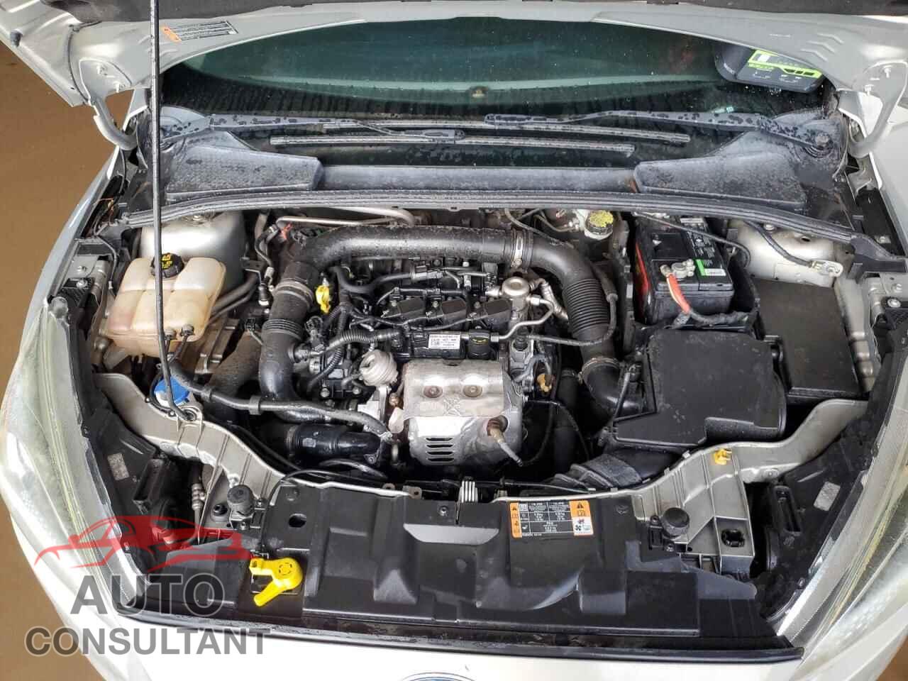 FORD FOCUS 2016 - 1FADP3KE9GL362883