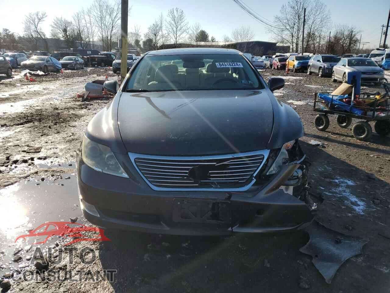 LEXUS LS460 2009 - JTHCL46F495000282