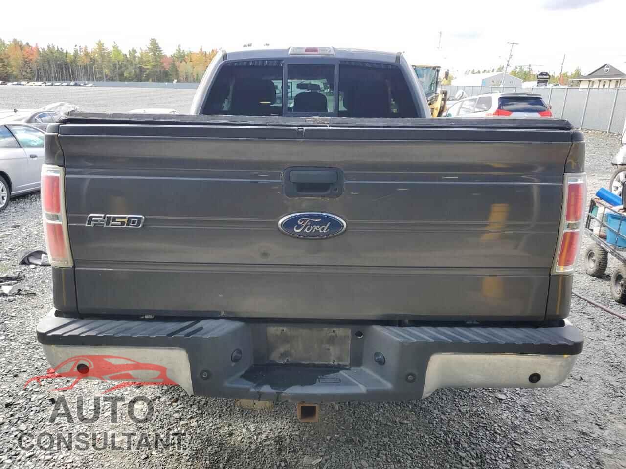 FORD F-150 2011 - 1FTFX1EF8BFB73810