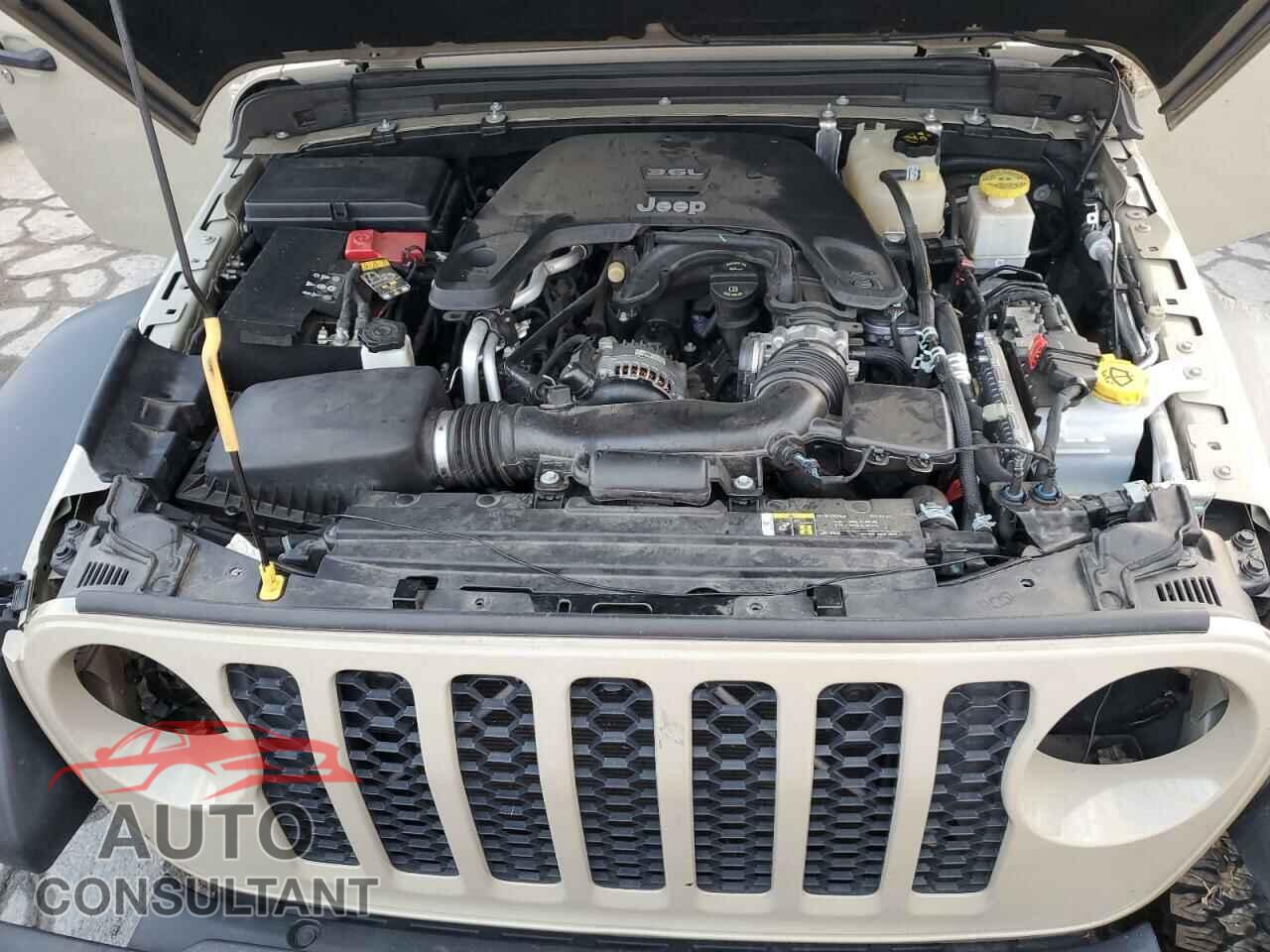 JEEP GLADIATOR 2020 - 1C6HJTAG8LL168718