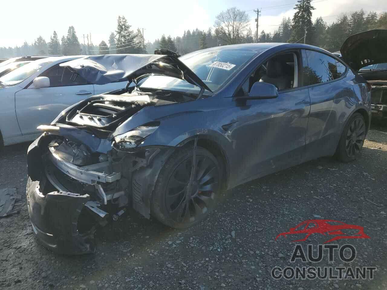 TESLA MODEL Y 2023 - 7SAYGDEF1PF795061