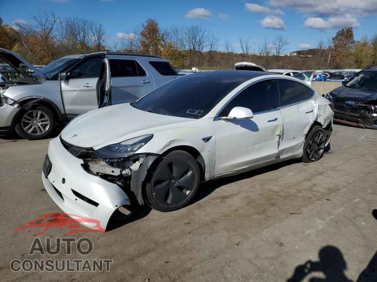 TESLA MODEL 3 2019 - 5YJ3E1EBXKF511055