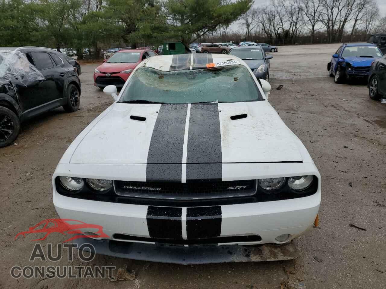 DODGE CHALLENGER 2013 - 2C3CDYCJ6DH549227