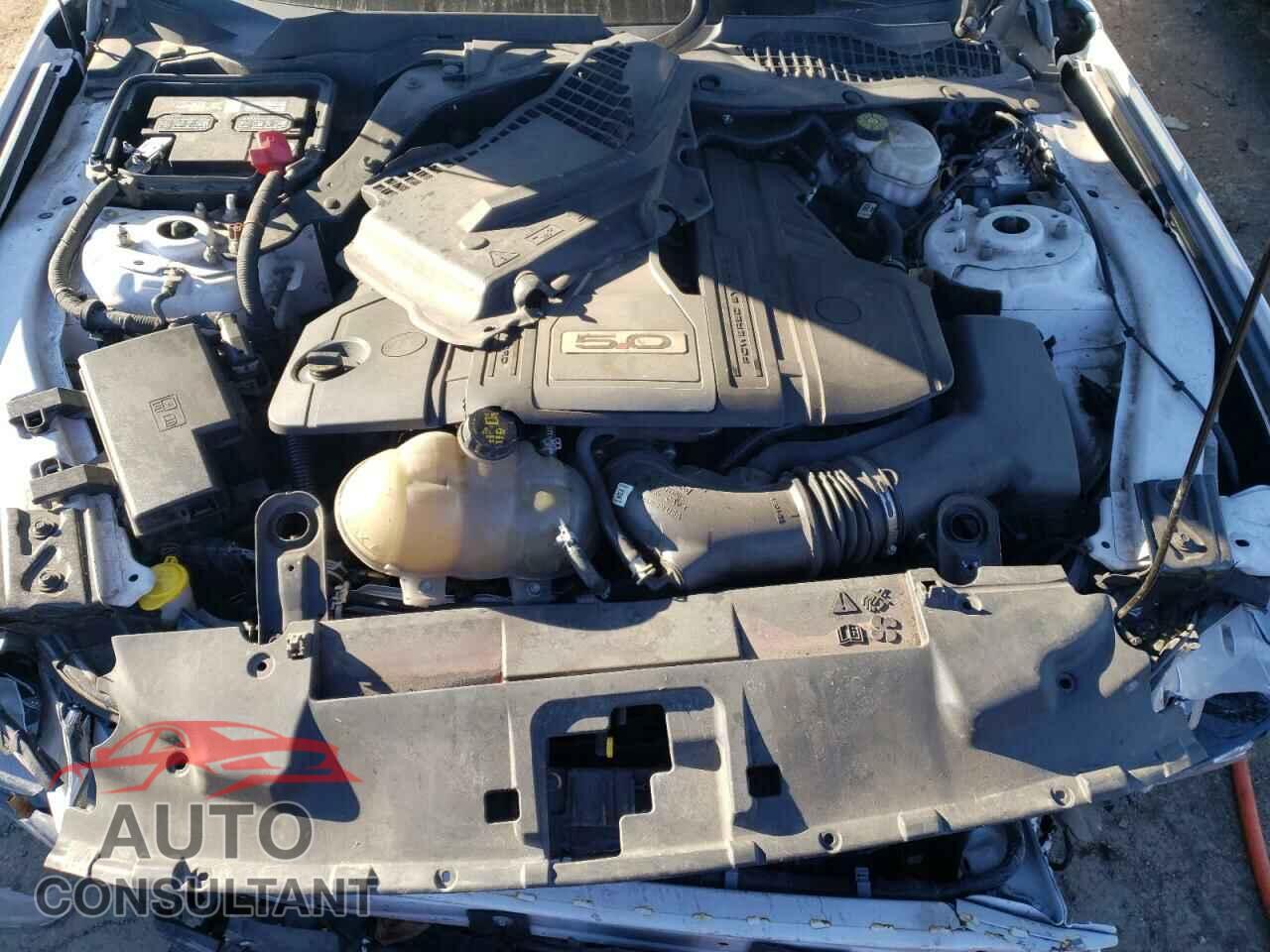 FORD MUSTANG 2019 - 1FA6P8CF3K5115062