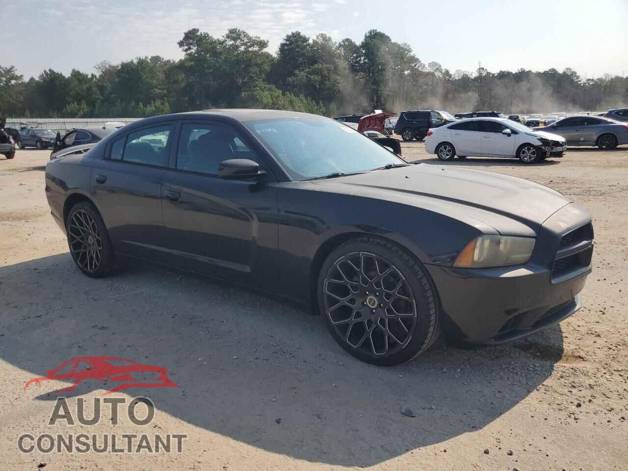 DODGE CHARGER 2014 - 2C3CDXHG7EH165918