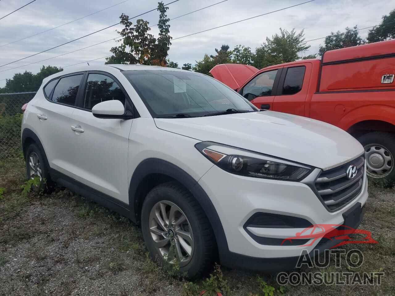 HYUNDAI TUCSON 2018 - KM8J23A41JU726991