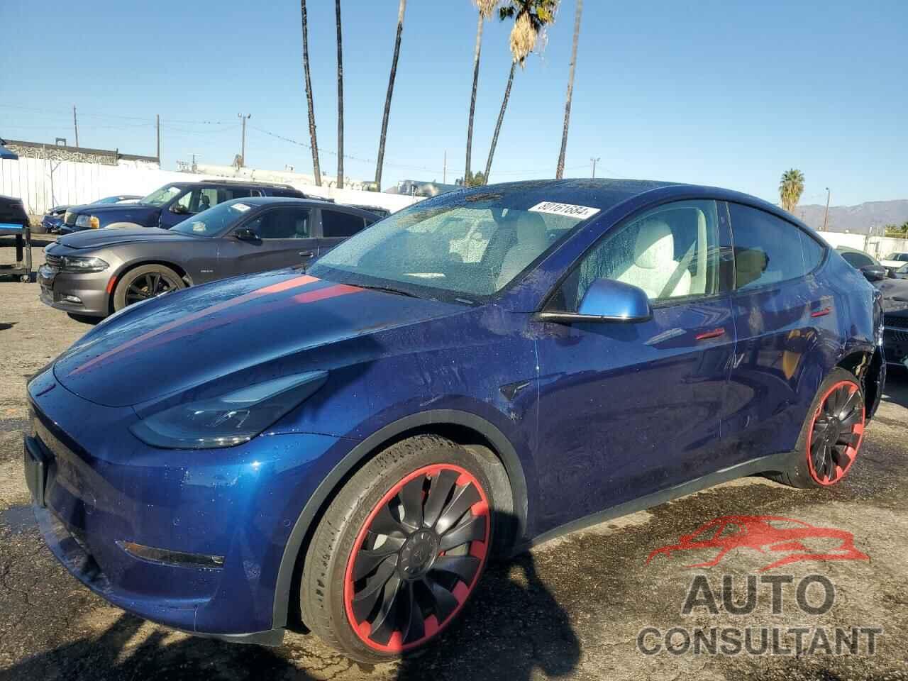 TESLA MODEL Y 2022 - 7SAYGDEF5NF551510