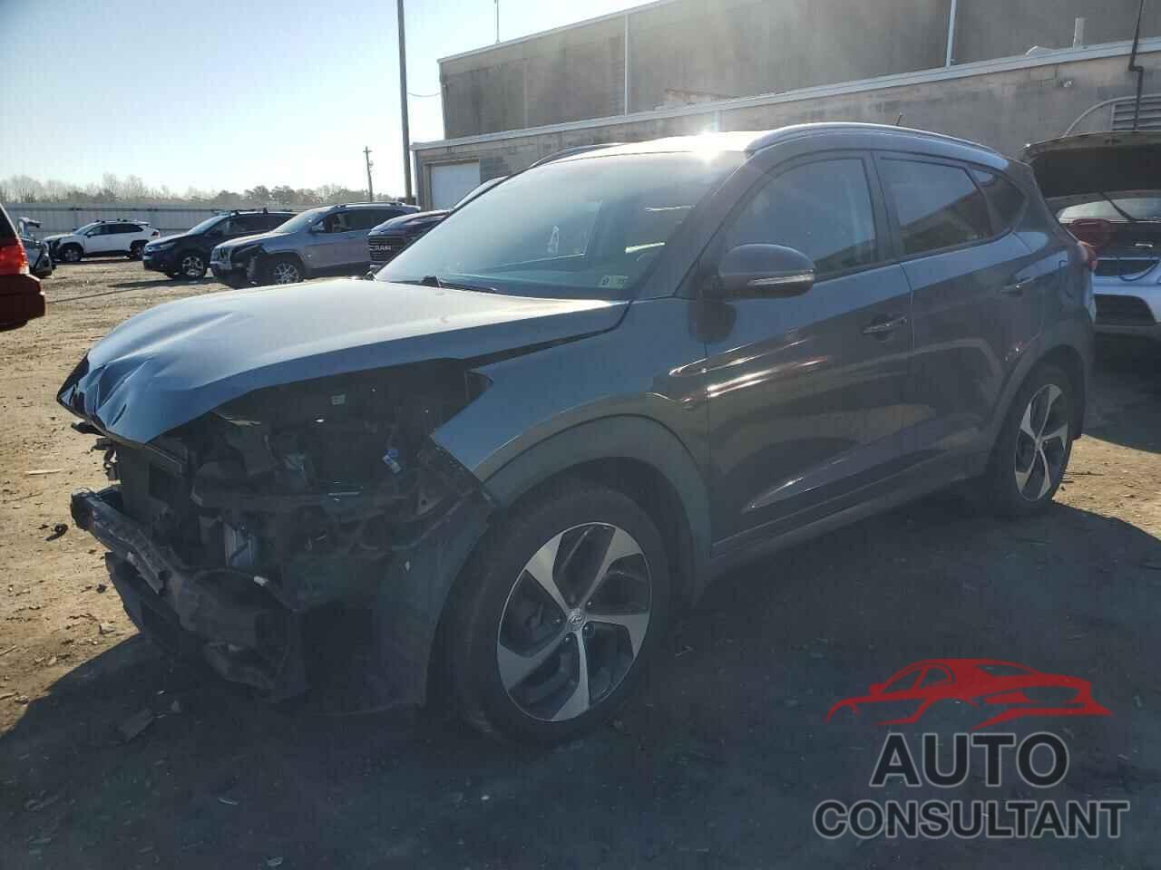 HYUNDAI TUCSON 2016 - KM8J33A24GU093049