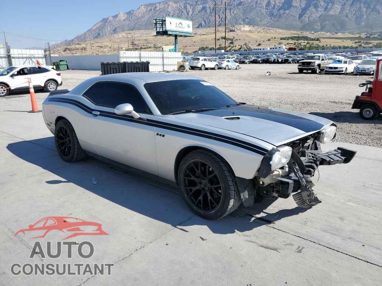 DODGE CHALLENGER 2012 - 2C3CDYBT2CH246270